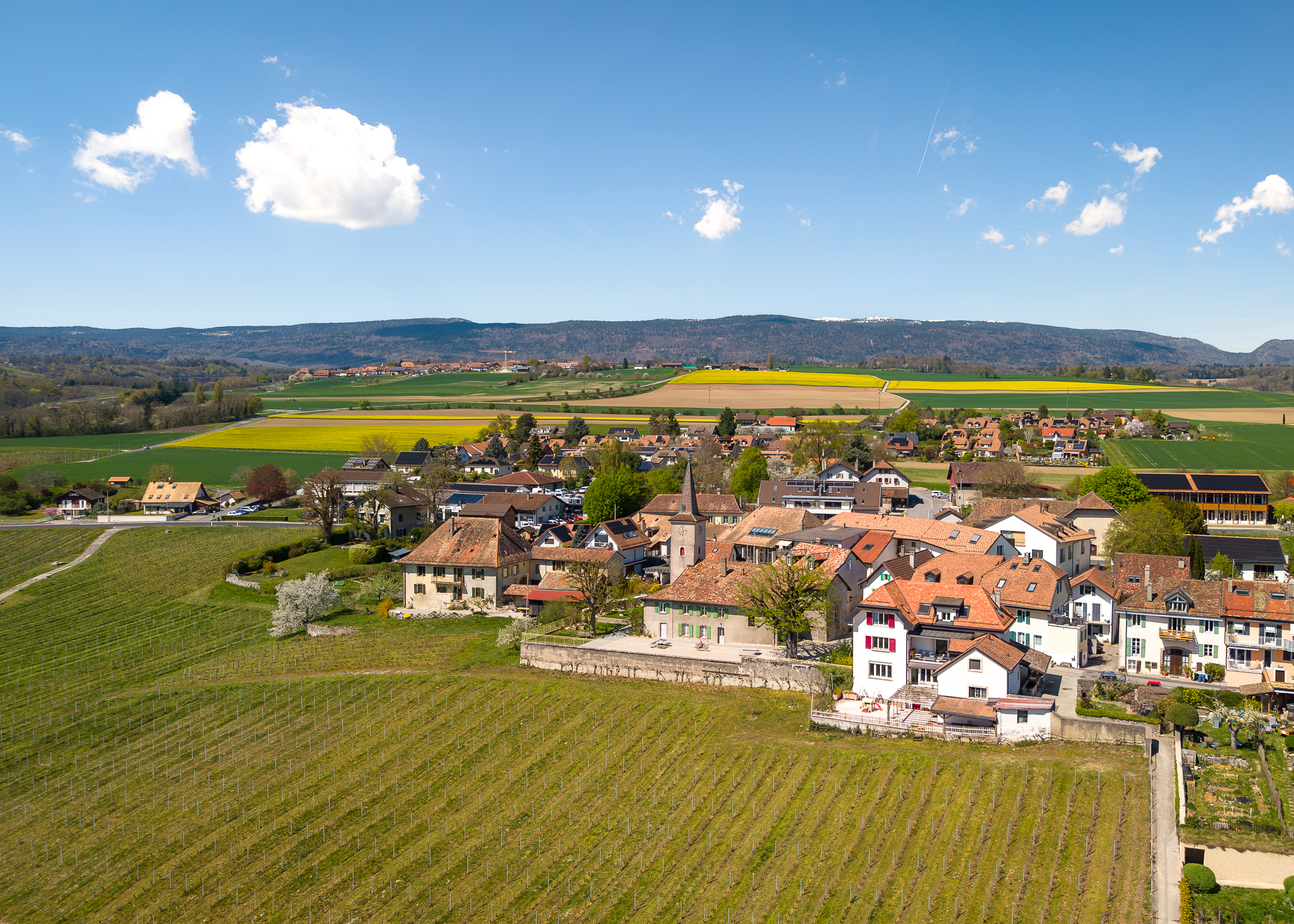 Lavigny village