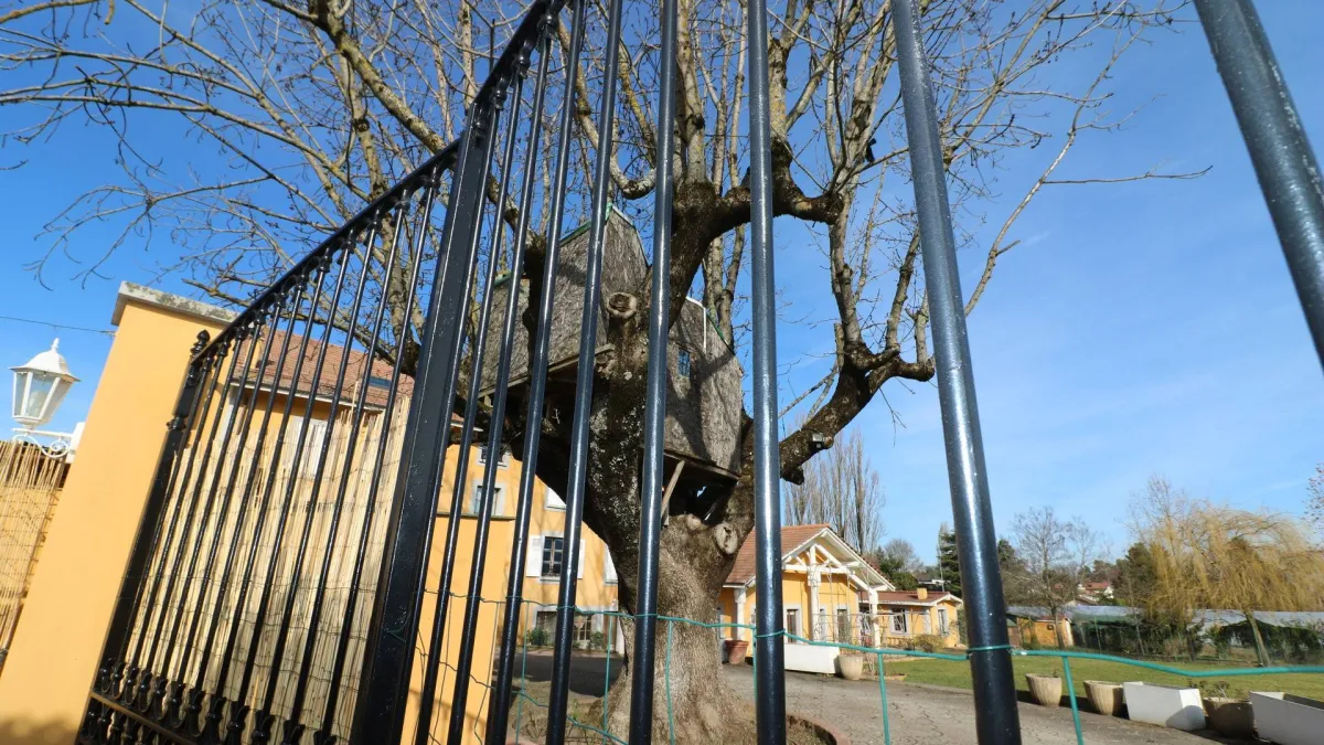 Propriété à Collonge-Bellerive