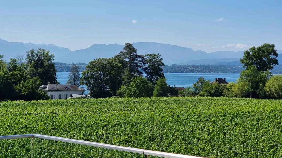 Somptueuse propriété avec piscine et vue panoramique sur le lac