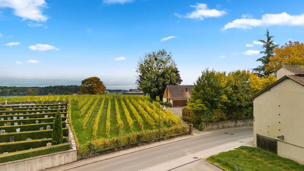 Spacieux appartement de 4,5 pièces avec vue dégagée