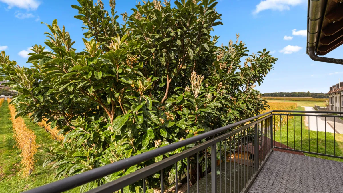 Spacieux appartement de 4,5 pièces avec vue dégagée
