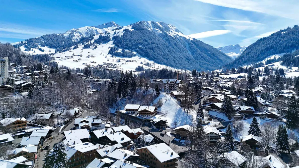 Elégant 2.5 pièces d'exception au centre du village