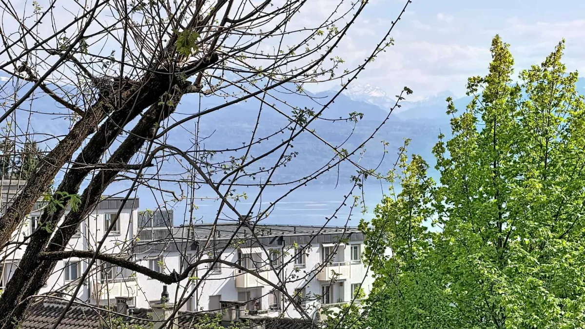 Bel appartement dans un quartier calme de Lausanne
