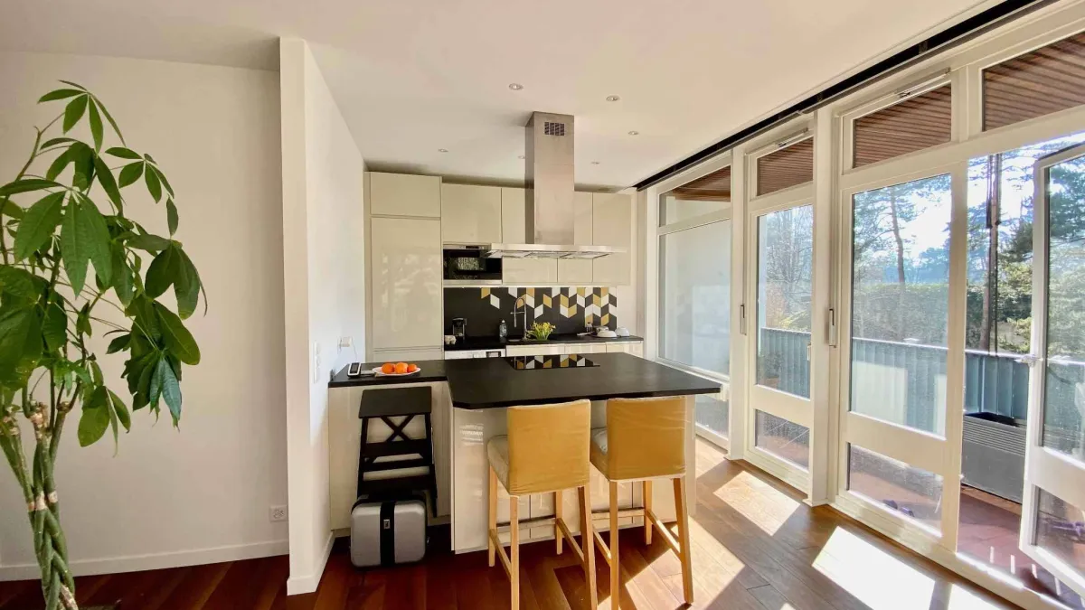 GRAND APPARTEMENT DE 1.5 PIECES DE STANDING 