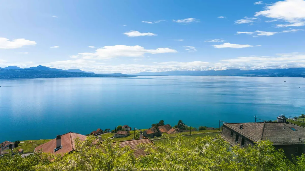 Élégante villa provençale avec piscine et vue panoramique sur le bassin lémanique et les Alpes