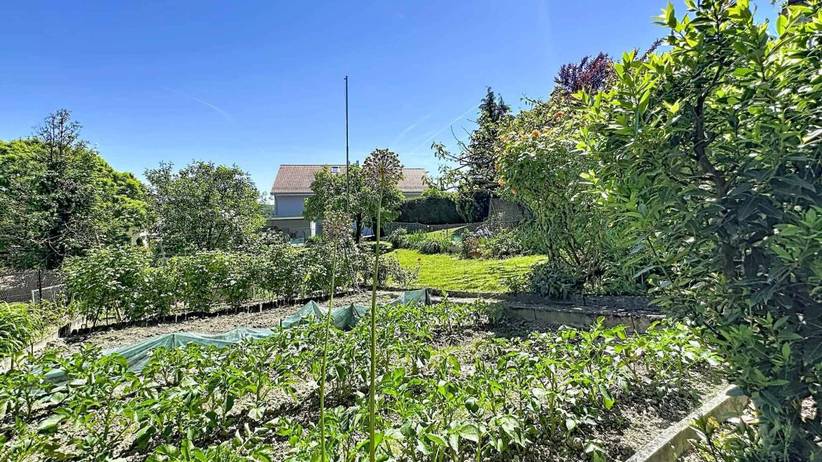 Maison de 6.5 pièces avec potentiel de construction
