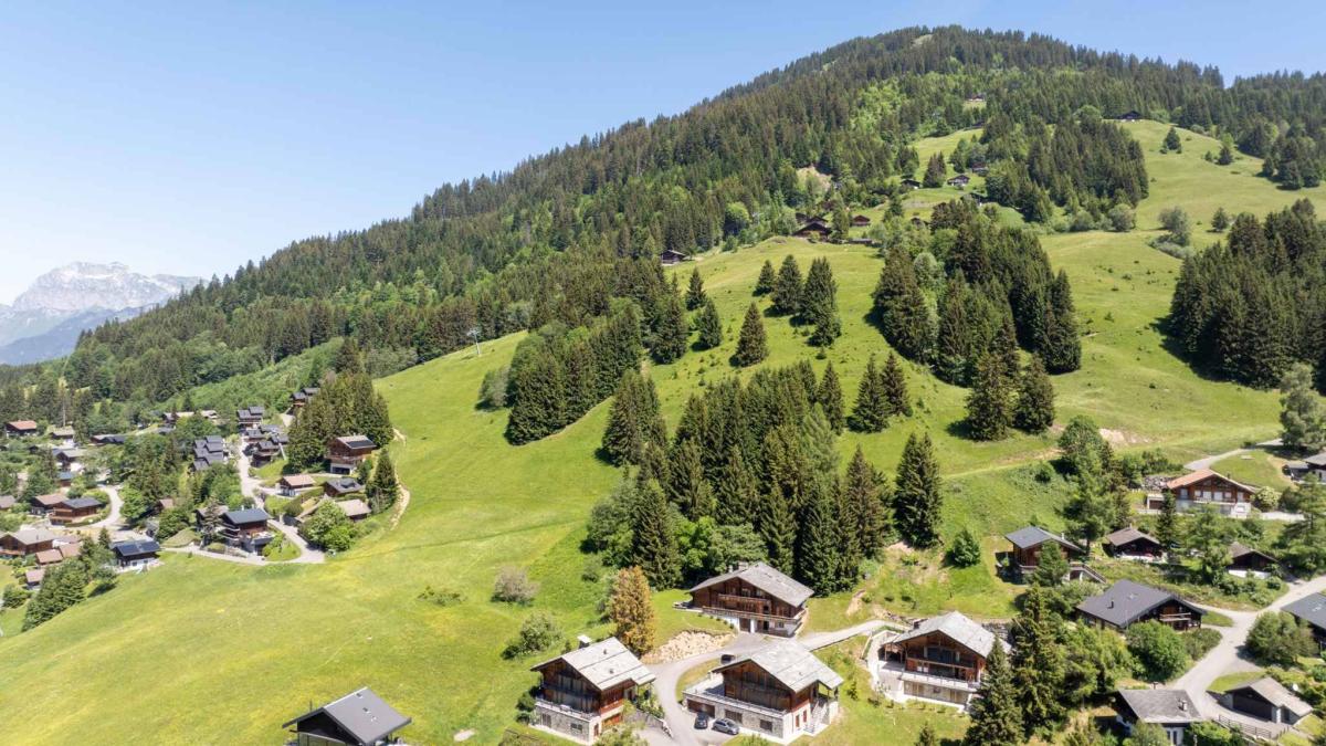 Chalet d'exception - Ski in/out 
