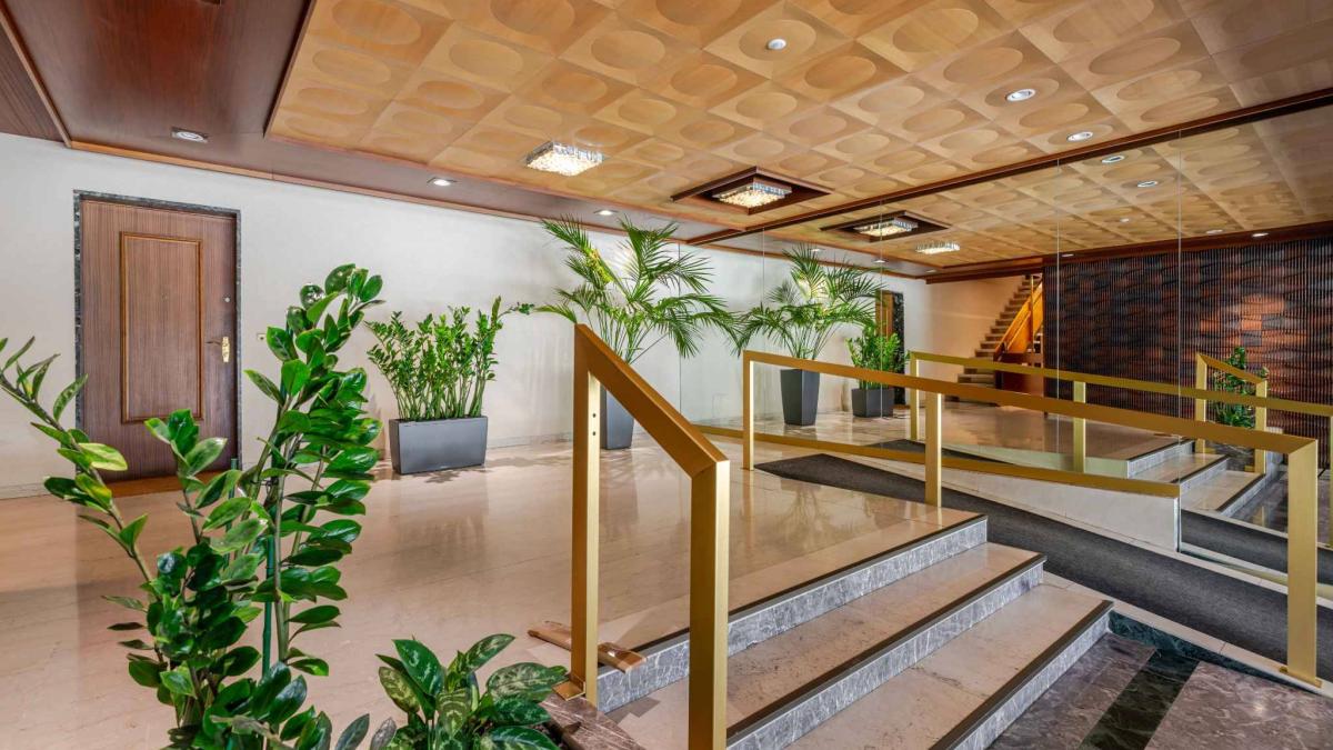 Studio baigné de lumière au cœur du très prisé quartier de Champel