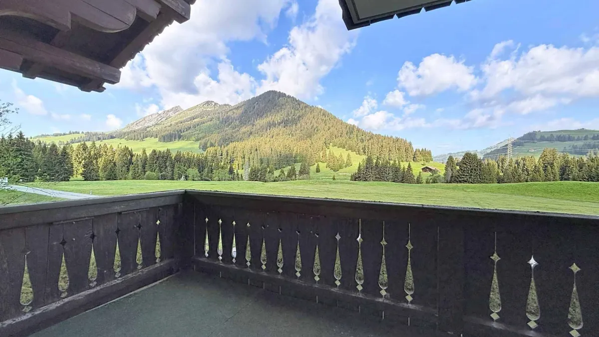 Grand chalet de 3 appartements avec vue panoramique