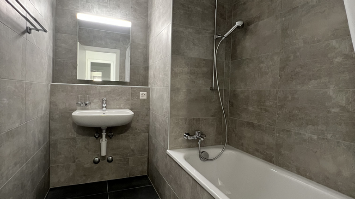 Appartement de 3.5 pièces à louer