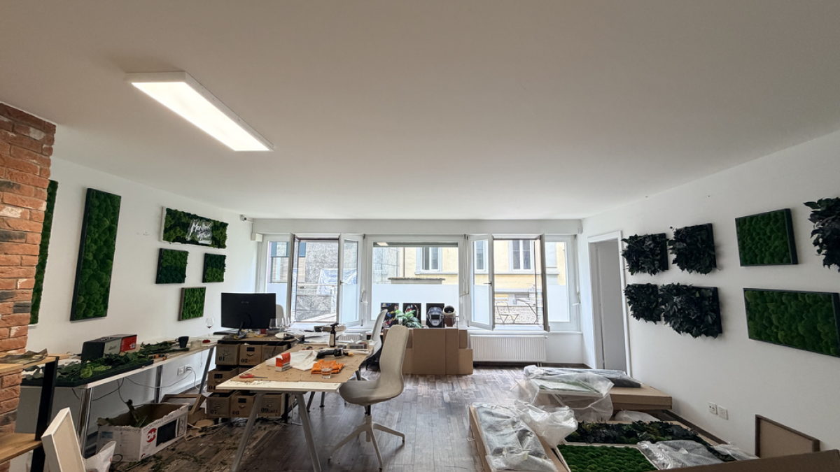 Surface d'env. 100 m2 au coeur de Montreux - Alpes 29