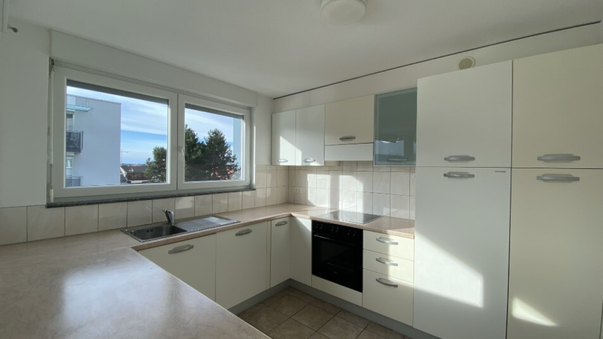 Appartement de 4.5 pièces au rez-de-chaussée avec terrasse - Cabinet 3