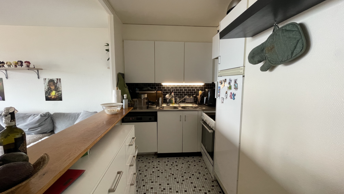 3 pièces de 53 m2 au 2ème étage - Brent 31