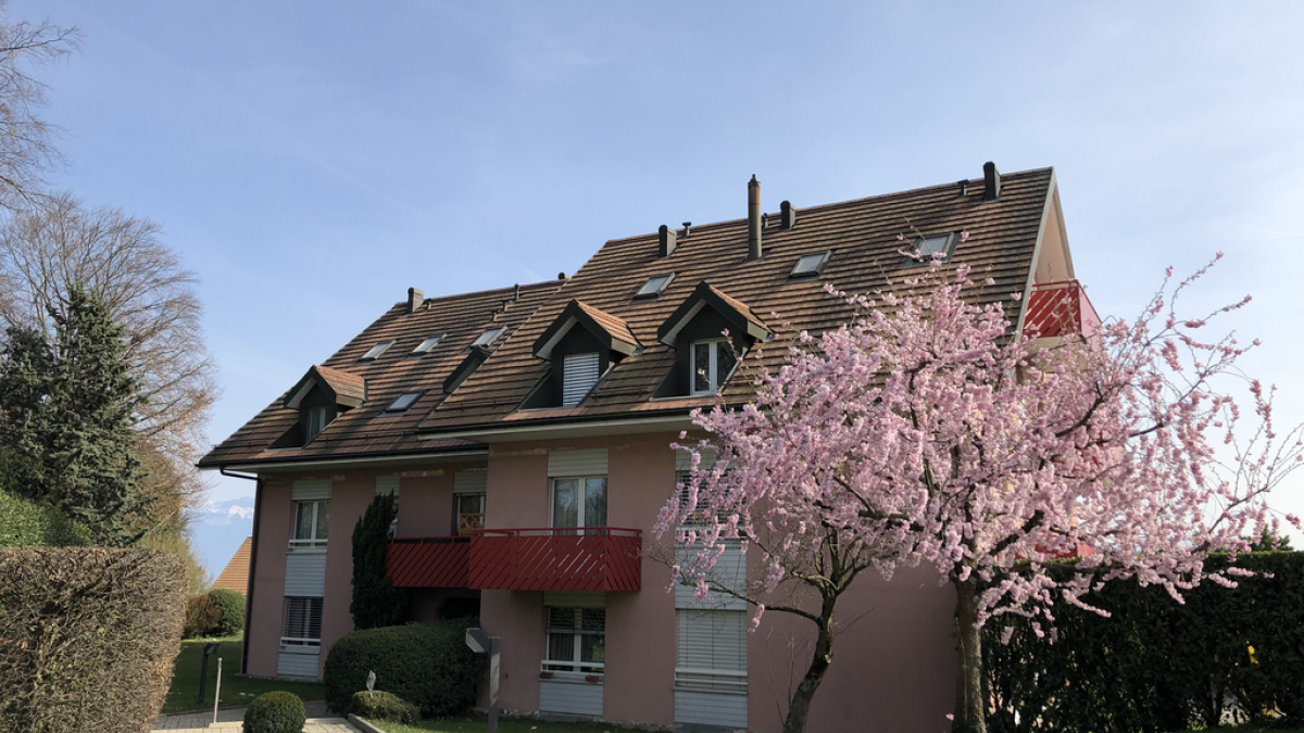 À louer  Charmant appartement 3 pièces à Tolochenaz