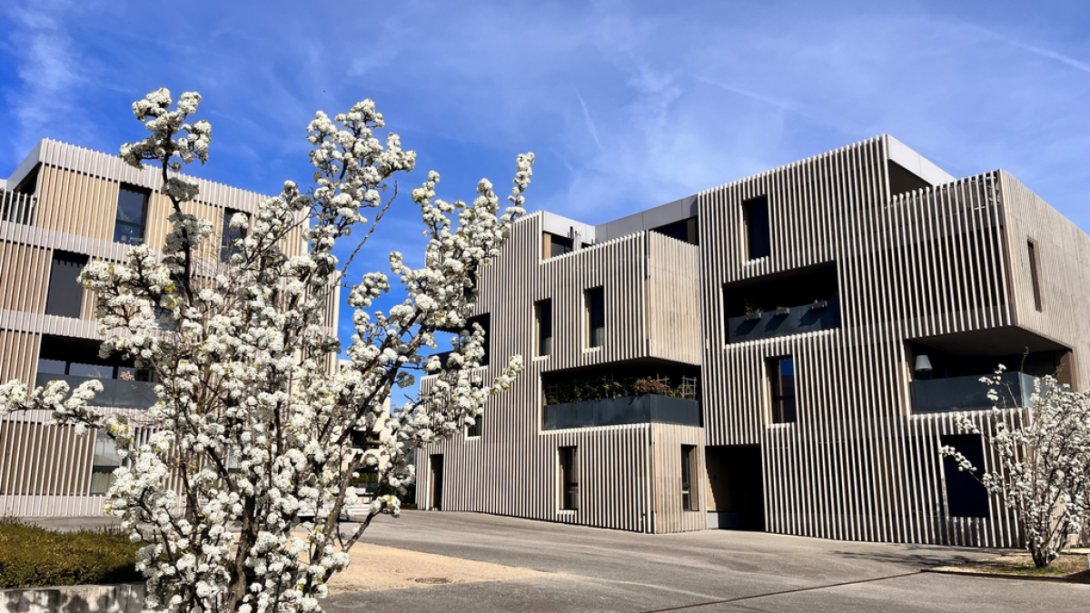 Studio sis à Crans