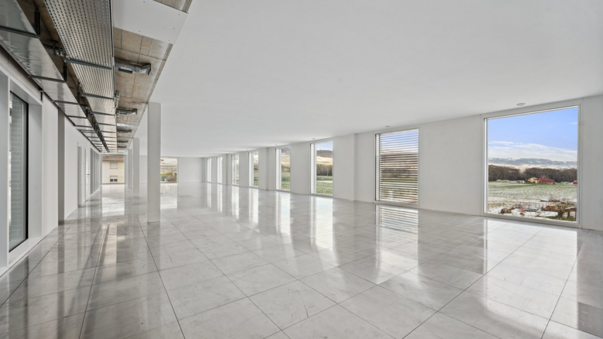 Quartier Eikenott - Magnifiques locaux de 300 m2 divisibles
