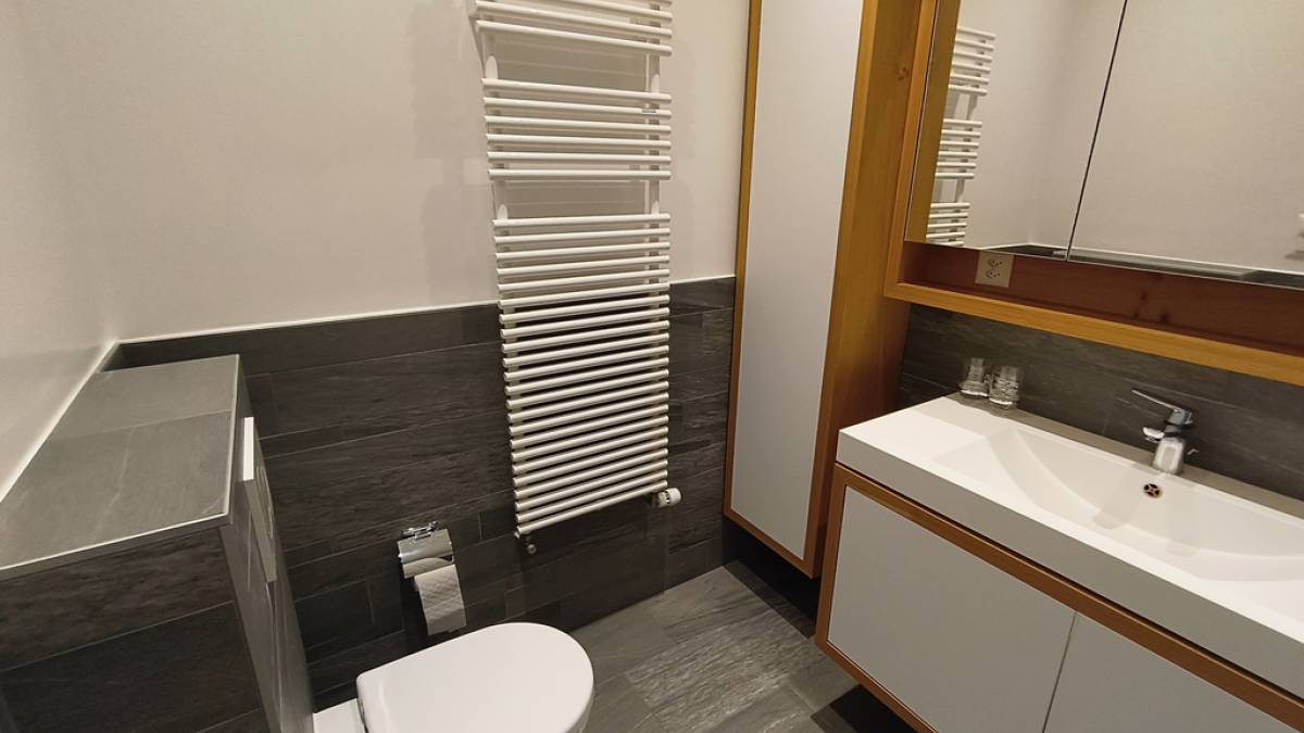 Magnifique appartement avec vue sur le lac