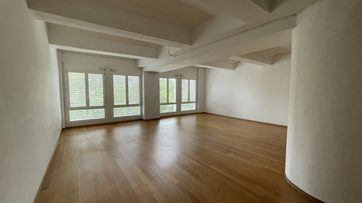 Magnifique loft lumineux de 88 m2 à Lausanne - Quartier sous-gare
