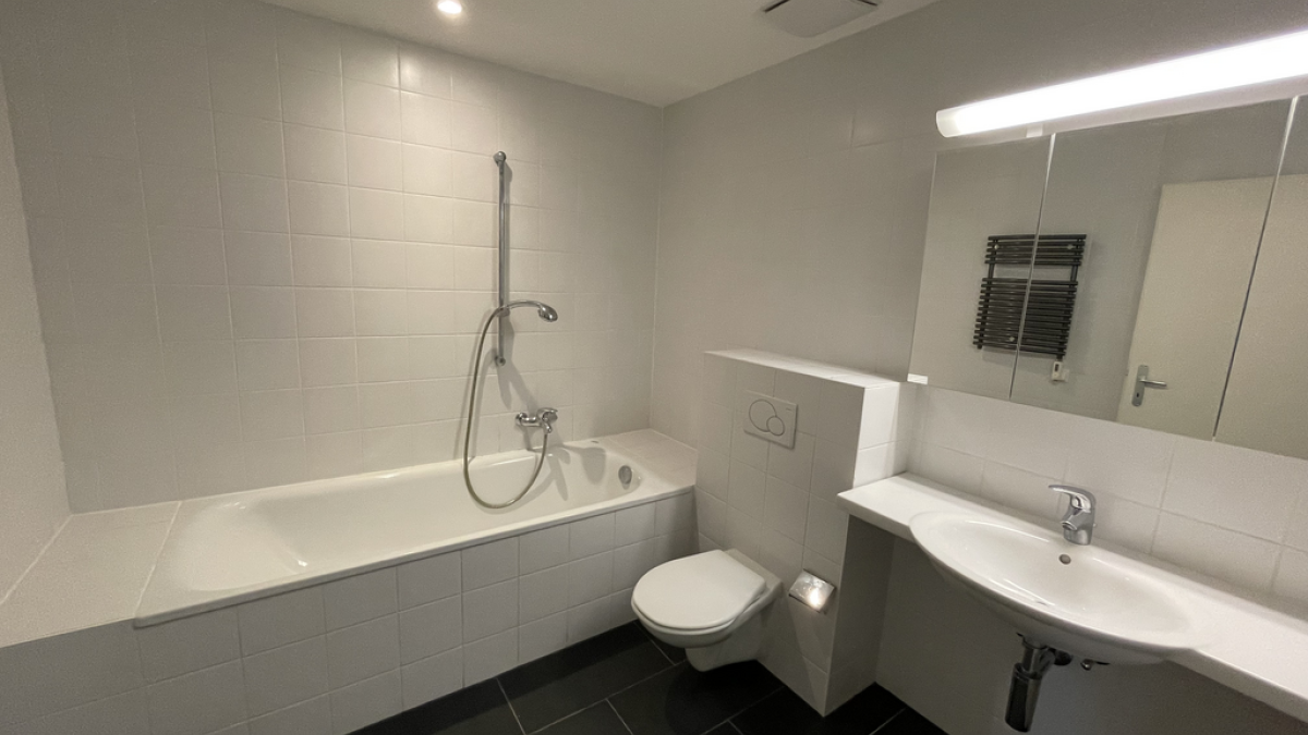 Magnifique loft lumineux de 88 m2 à Lausanne - Quartier sous-gare