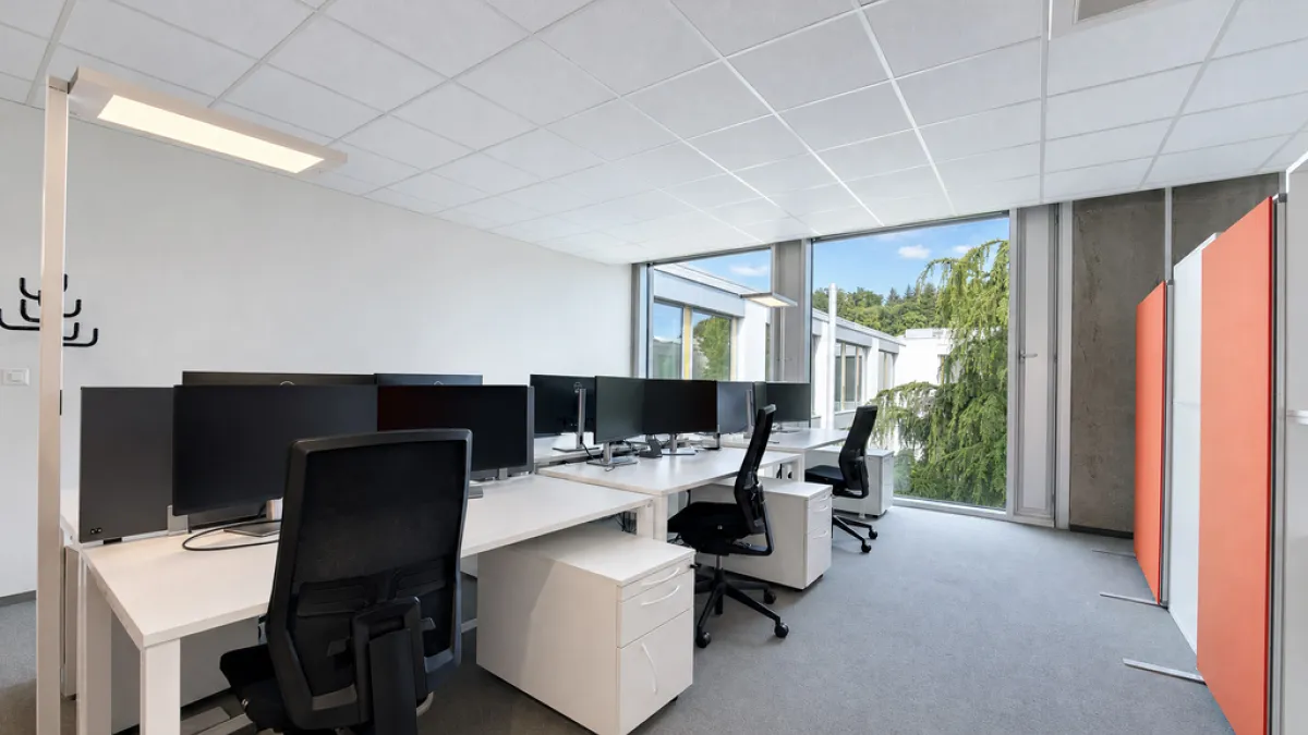 Grande surface de bureaux moderne et modulable
