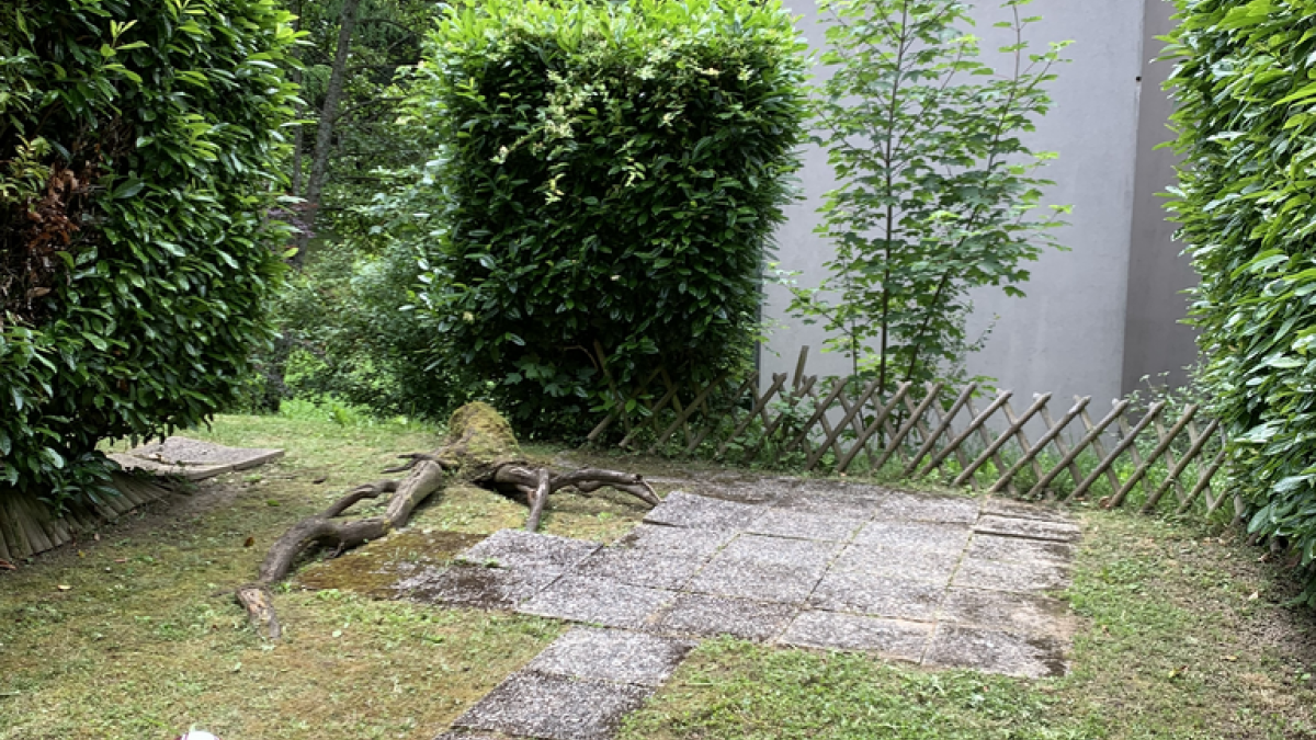 1 pièce avec jardin à Pully !