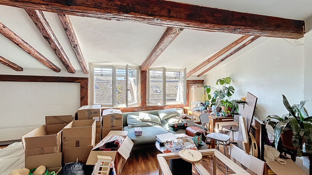 Joli studio sous les combles - Lac 20