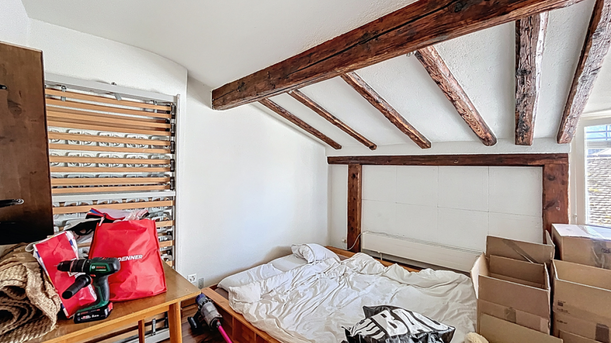Joli studio sous les combles - Lac 20