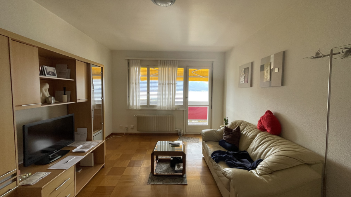 2 pièces avec vue en cours de rénovation - Collonge 18