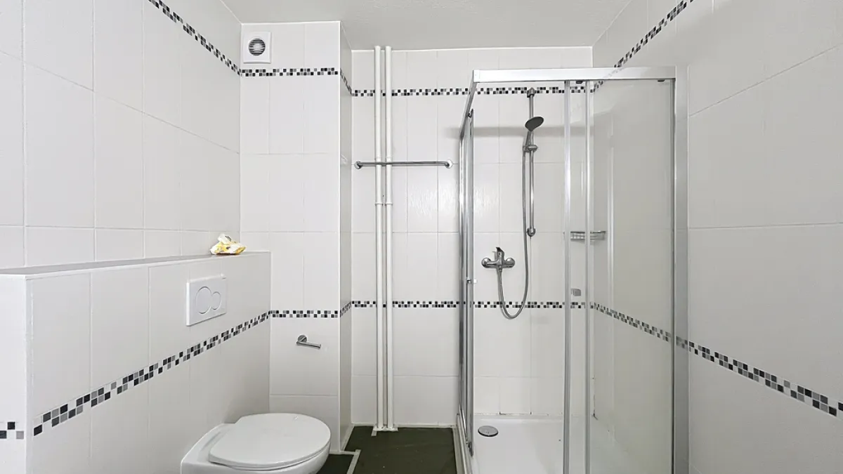 Joli 4 pièces en cours de rénovation - Eaudine 4