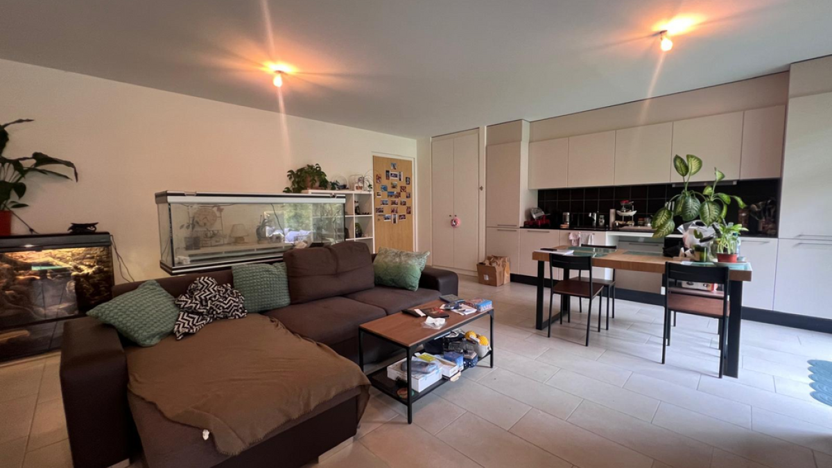 À louer - 2.5 pièces avec terrasse (B302)