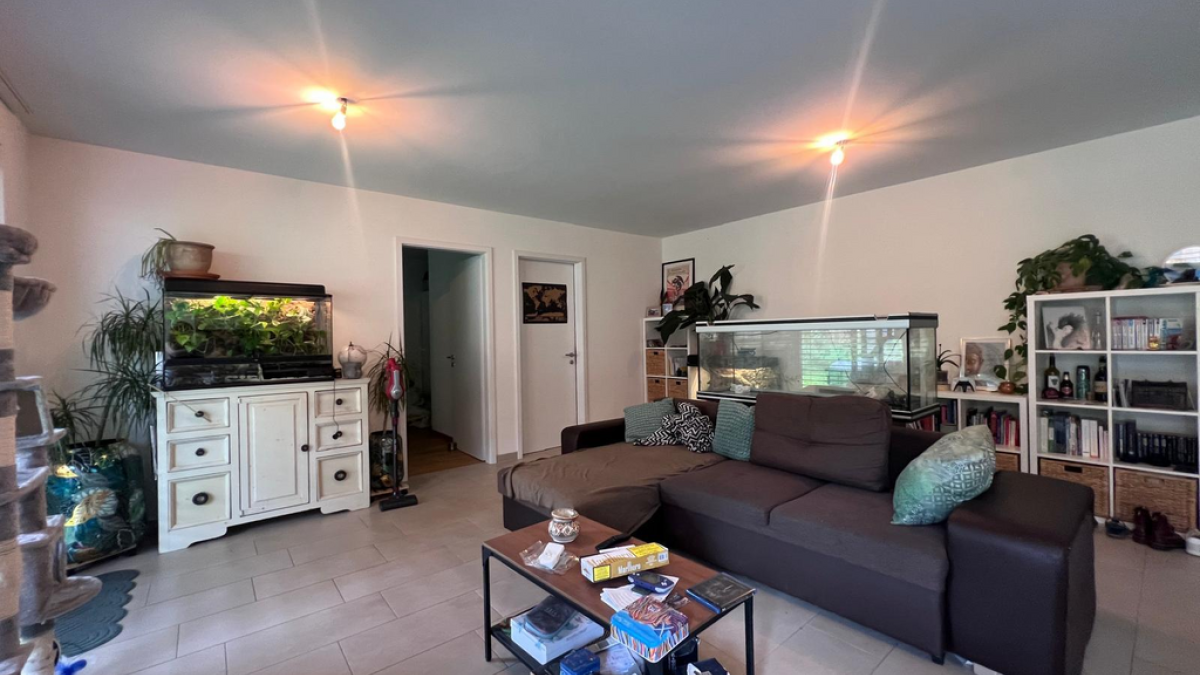 À louer - 2.5 pièces avec terrasse (B302)