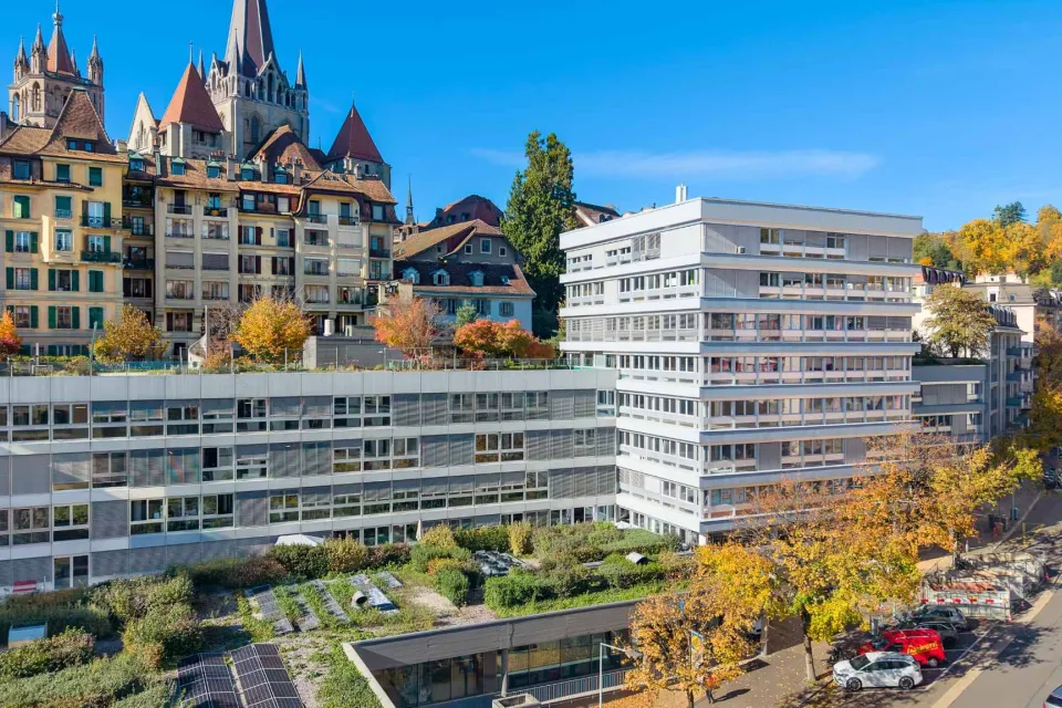 Locaux commerciaux modernes et entièrement rénovés de 129 m² et 230 m²