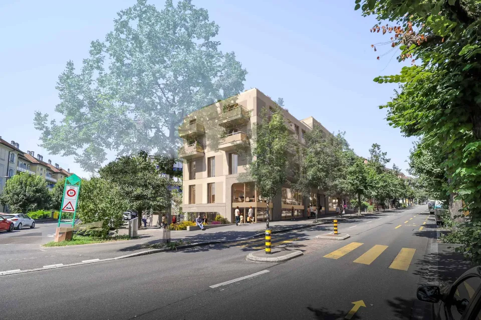 Lausanne-Ouchy – Surfaces avec terrasse, été 2026