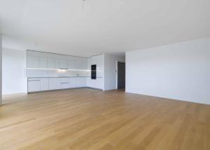 Appartement neuf - 4.5 pièces traversant avec 2 balcons - Vue lac