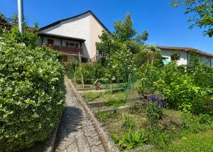Maison de 6.5 pièces avec potentiel de construction