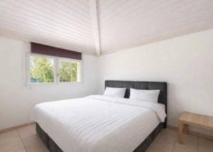 VILLA 5.5 PIECES - 520m2 JARDIN