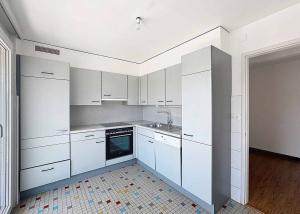 Lumineux 3.5 pièces de 77.5  m2 + grand balcon 17.5 m2