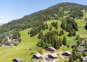 Chalet d'exception - Ski in/out