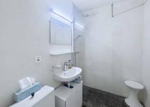 Appartement de 1 pièce - 33.5 m2 avec grand balcon et garage box