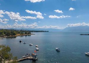 Magnifique appartement en duplex avec vue panoramique sur le lac