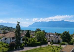 Magnifique 5.5 pièces avec vue panoramique sur le lac et le Lavaux