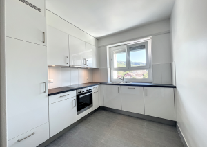 3 pièces en rénovation au 7ème étage - Général-Guisan 50