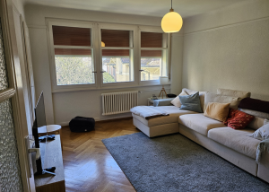 Magnifique 2.5 pièces très bien centré
