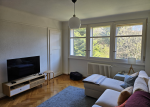 Magnifique 2.5 pièces très bien centré