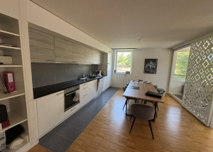 Magnifique 2.5 pièces dans le quartier de Malley !