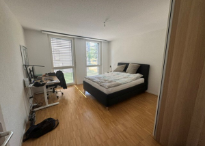 Magnifique 2.5 pièces dans le quartier de Malley !