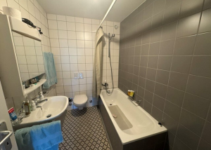 Magnifique 2.5 pièces dans le quartier de Malley !