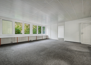 Surface commerciale