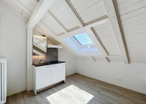 Chambre dans les combles - Léman 12