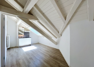 Chambre dans les combles - Léman 12